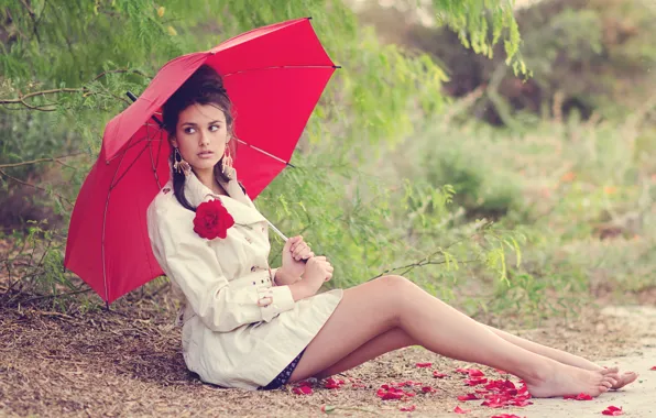 Picture flower, look, red, face, pose, umbrella, petals, brunette