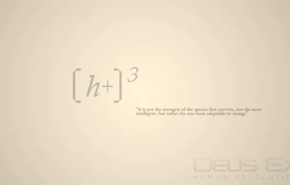 Wallpaper, Deus Ex, Human Revolution, cyberpunk