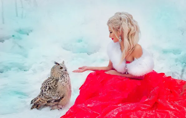 Winter, girl, snow, nature, owl, bird, glade, hand