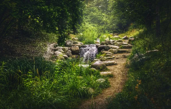 Greens, grass, trees, Park, stream, stones, Germany, path