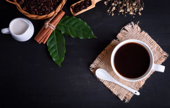 Leaves, background, Coffee, drink, coffee beans