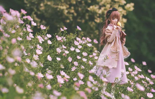 Flowers, doll, dress, meadow, girl, book, bird