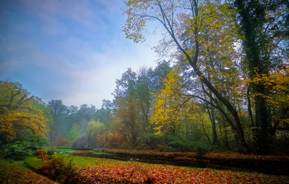 Road, autumn, forest, the sky, trees, branches, Park, blue