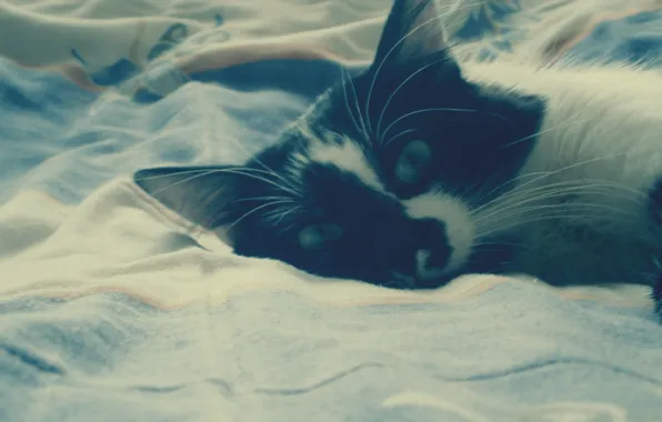 Stay, relax, sleep