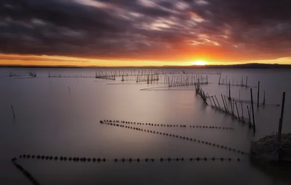 Sunset, network, lake