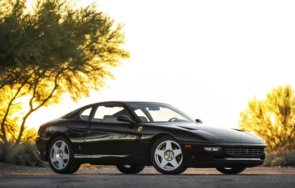 Picture Ferrari, 1995, 456, Ferrari 456 GT