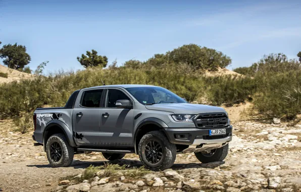 Picture the sky, stones, grey, Ford, Raptor, pickup, shrub, Ranger