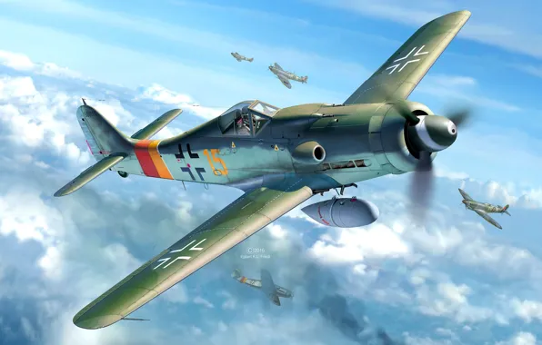 Germany, piston, The second World war, Luftwaffe, Fw.190, Focke -Wulf, Long-Nose Dora, external fuel tank