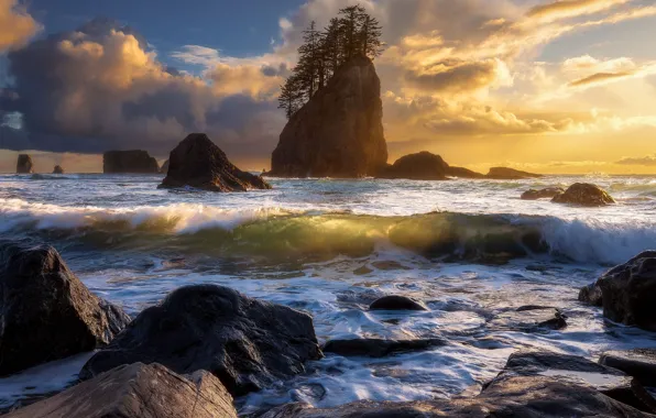 Clouds, trees, landscape, sunset, nature, the ocean, rocks, Olympic