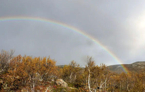 Autumn, North, hills, birch, Raduga, dwarfs