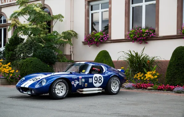 Shelby, blue, cobra, daytona