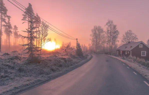 Winter, road, morning