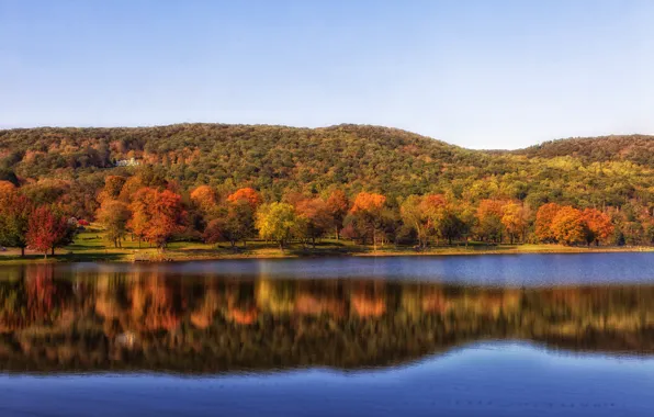 Picture landscape, nature, water, tree