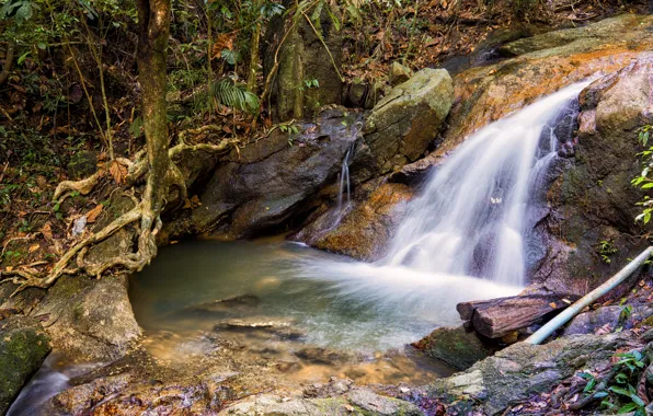 Autumn, forest, leaves, landscape, river, rocks, waterfall, forest