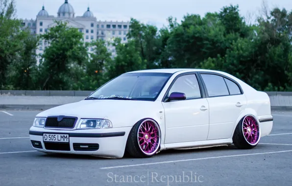 White, wheels, tuning, low, Skoda, stance, skoda, Octavia