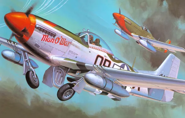 Picture the plane, fighter, art, action, American, North American, P-51 Mustang, WW2.