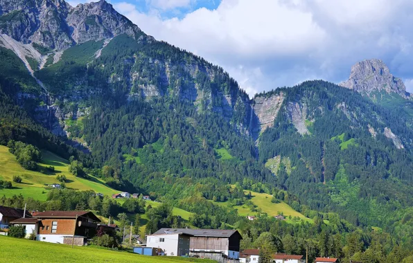 Picture greens, forest, the sky, grass, the sun, clouds, trees, mountains