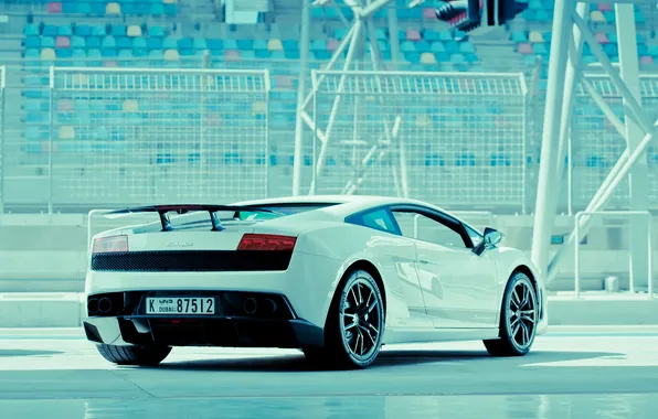Picture white, gallardo, lamborghini, rear view, tribune, Lamborghini, circuit, wing