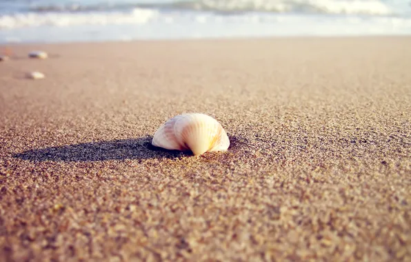Sand, sea, beach, water, the sun, macro, light, nature