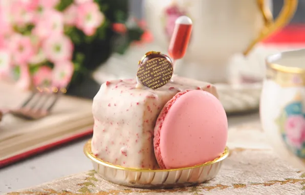 Picture cake, dessert, macaroon