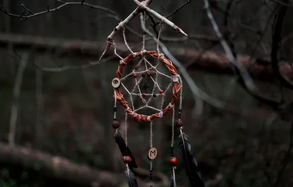 Forest, Dreamcatcher, Aleks Five