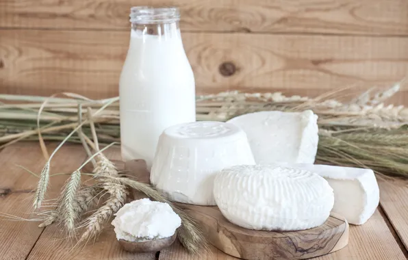 Milk, spikelets, bowl, cheese