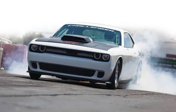 Picture Dodge, Challenger, Mopar, 2015, Drag Pak