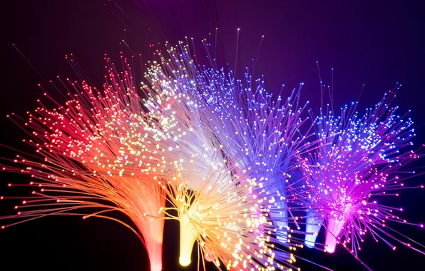 Picture fiber, digital, data, connectivity, electronics, fibre, future, fiber-optics
