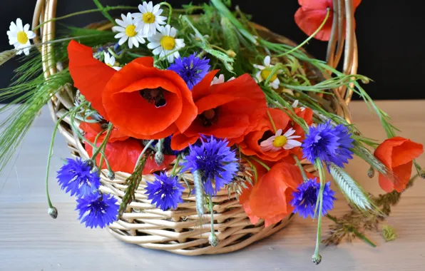 Picture flowers, basket, Maki, chamomile, ears, cornflowers