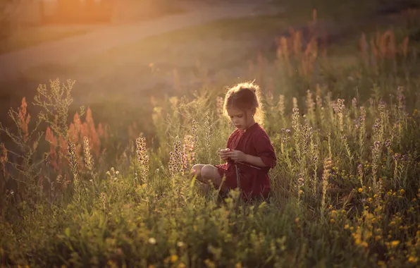 Picture field, grass, childhood, girl