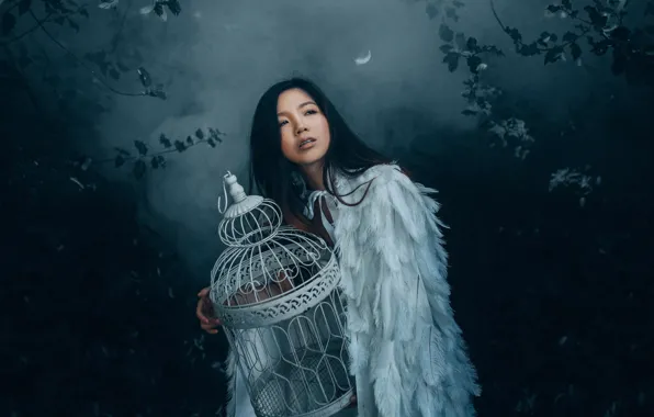 Picture girl, night, nature, fog, the dark background, bird, wings, angel