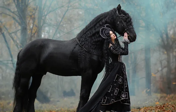 Autumn, forest, girl, nature, pose, fog, style, horse