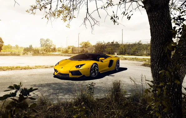 Roadster, Lamborghini, Front, Vorsteiner, Yellow, LP700-4, Aventador, Supercar