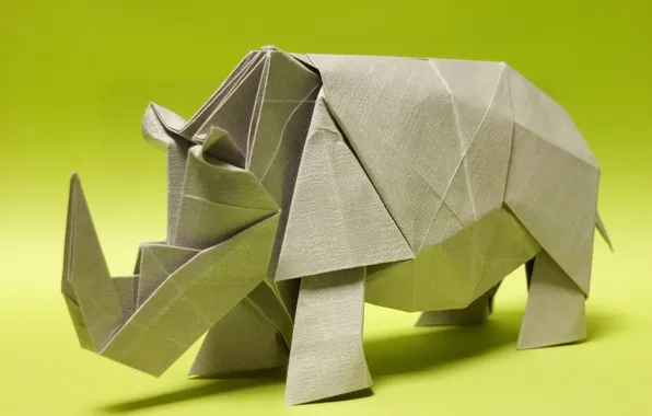 Picture paper, Rhino, origami