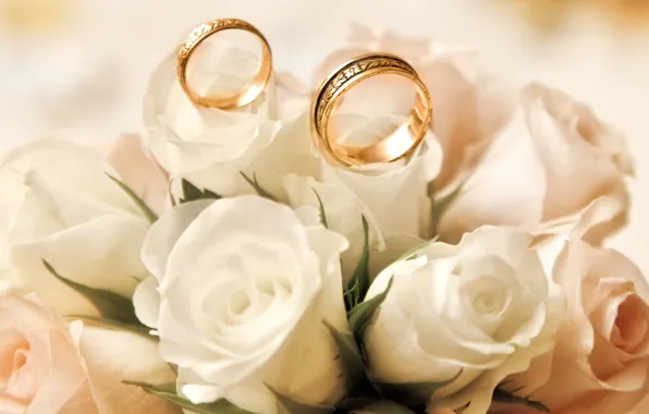 Roses, white, buds, engagement rings
