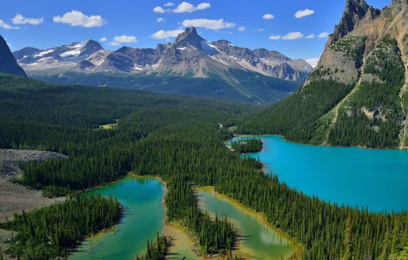 Forest, landscape, mountains, lake, Canada, Yoho National Park