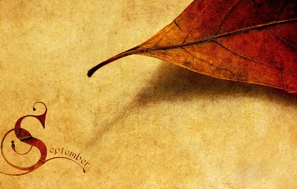 Picture autumn, mood, the inscription, texture, a month, September, fallen leaves