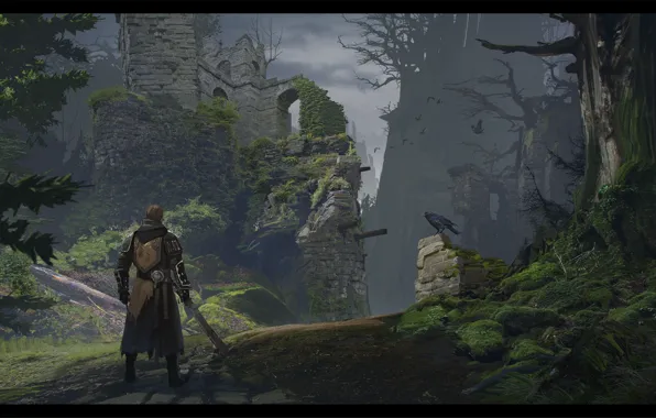 Picture trees, castle, bird, warrior, Envronment exploration