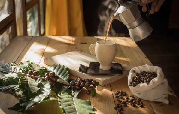 Leaves, light, berries, table, Board, people, coffee, hot
