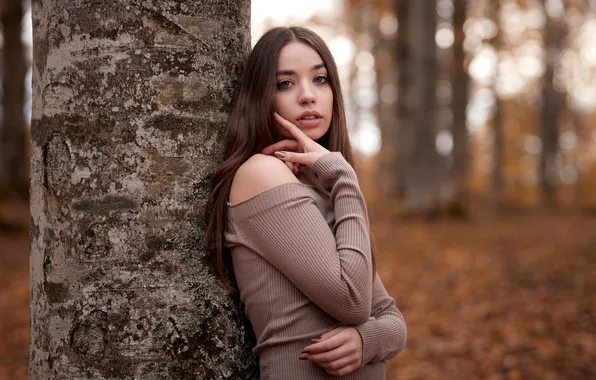 Look, girl, pose, tree, hands, trunk, long hair, Luna