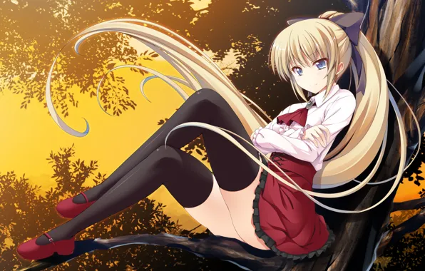 Girl, tree, branch, form, sitting, game cg, atled everlasting song, hayakawa rinta