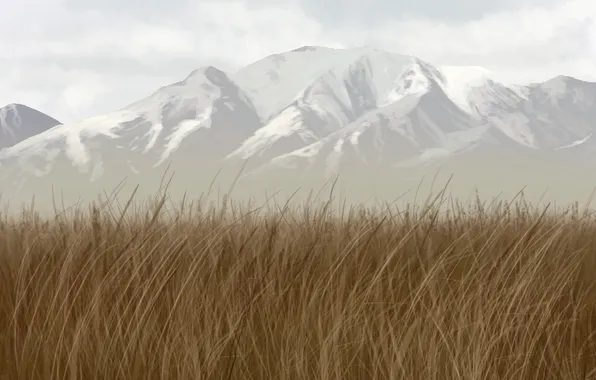 Picture grass, snow, mountains, tops, art, ridge