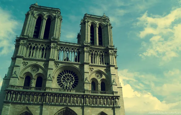 Picture Paris, notre dame de paris, Notre Dame Cathedral