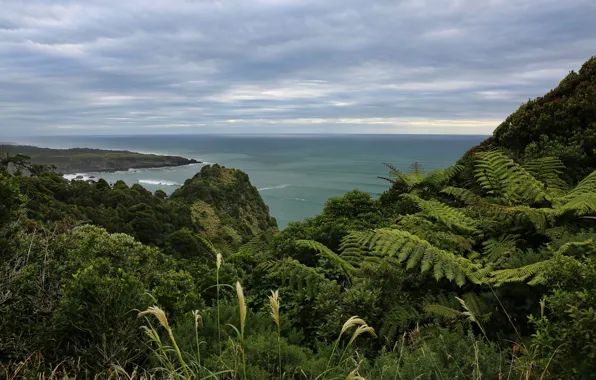 New Zealand, The Tasman sea, National Park Paparoa