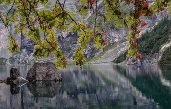 Picture autumn, branches, lake, stones, boat, Switzerland, fishermen, Switzerland