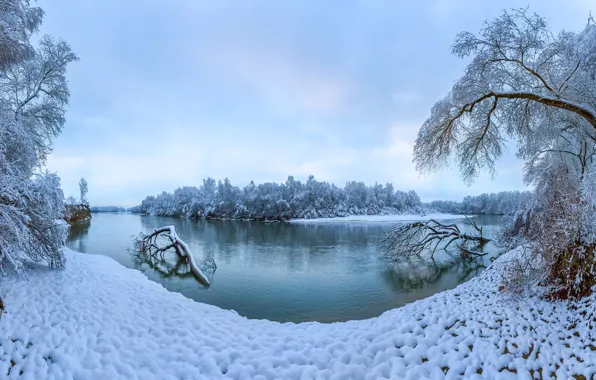 Picture winter, snow, trees, river, Russia, Stavropol Krai, the terek river