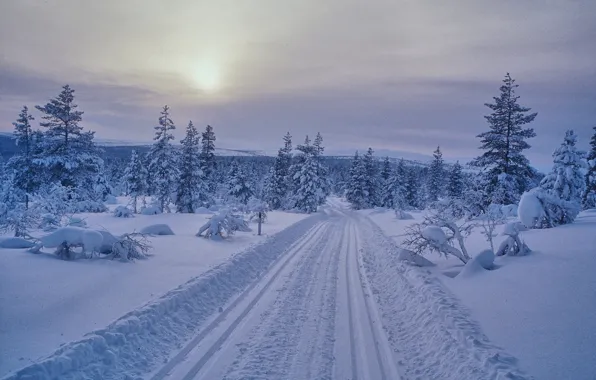 Winter, road, snow, ate, dervla, Finland, Finland, Saariselkä