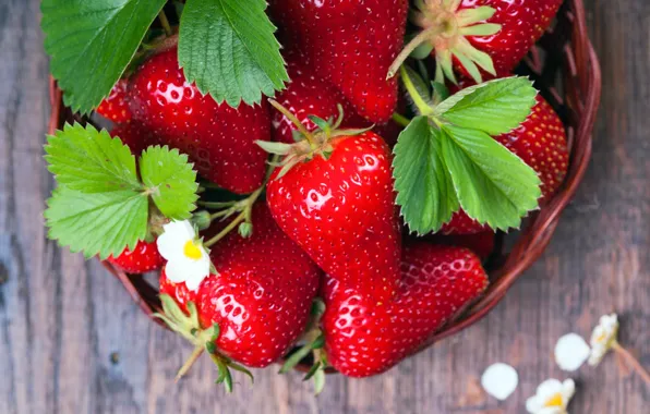 Picture berries, strawberry, basket, strawberry, fresh berries