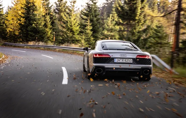 Autumn, Audi, speed, supercar, Audi R8, rear view, Coupe, V10