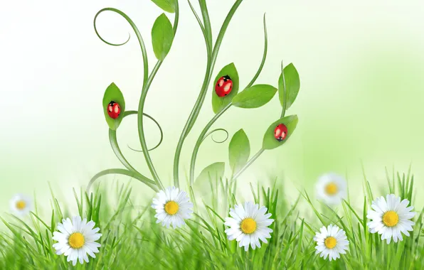 The sky, grass, leaves, flowers, green, ladybug, chamomile, spring